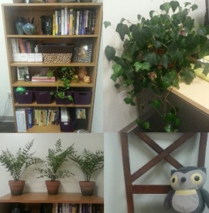My very own and very simple photo collage (of my office!) made using the program Paint!